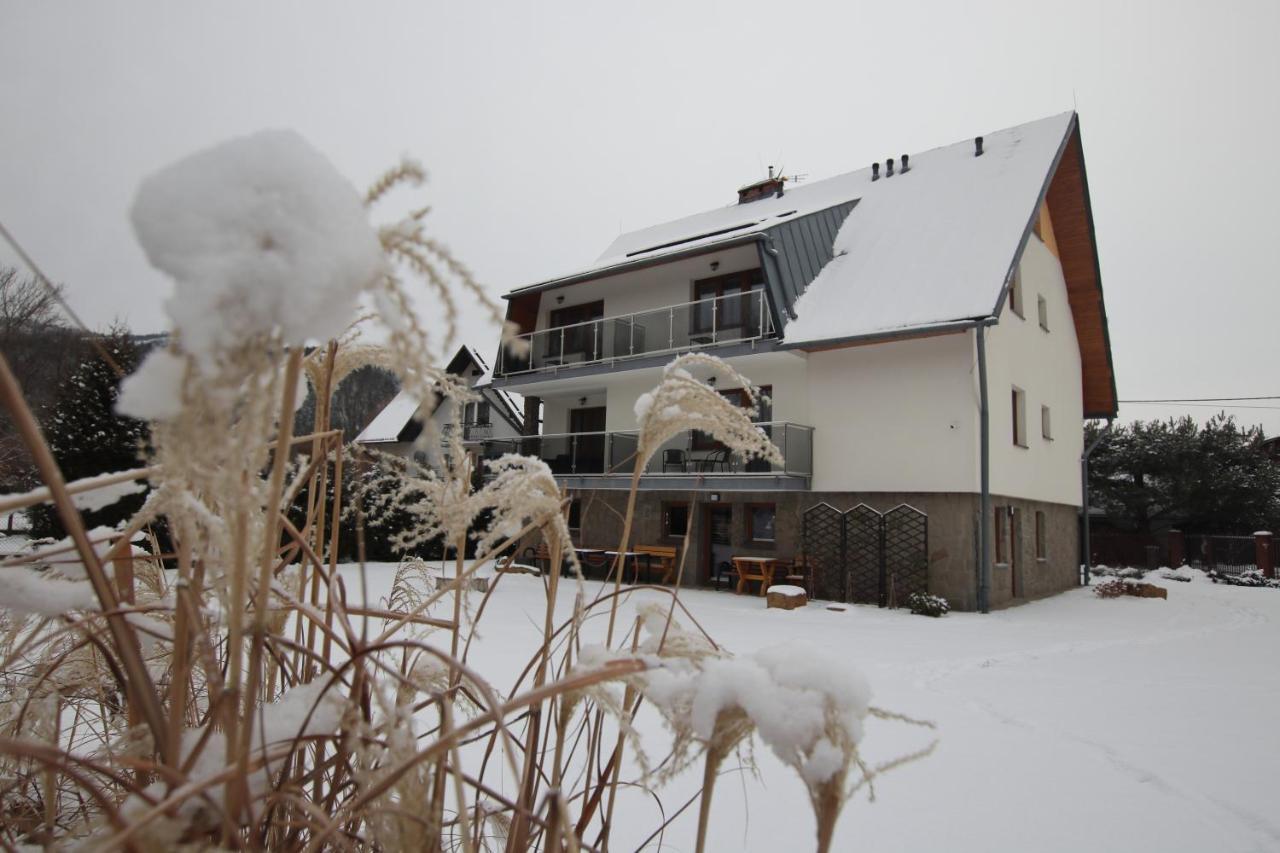 Willa Na Plazowej Wegierska Gorka Exterior photo